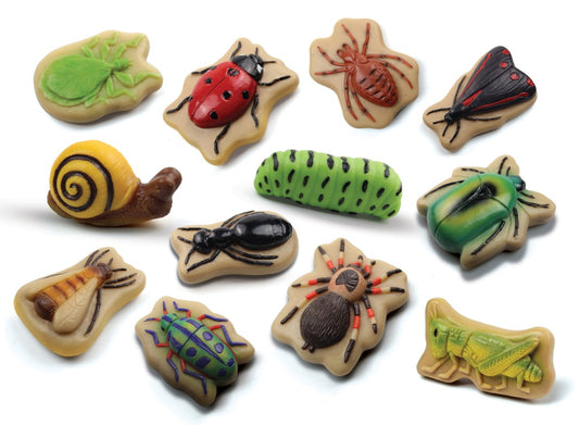 Sensory Play Stones - Bugs