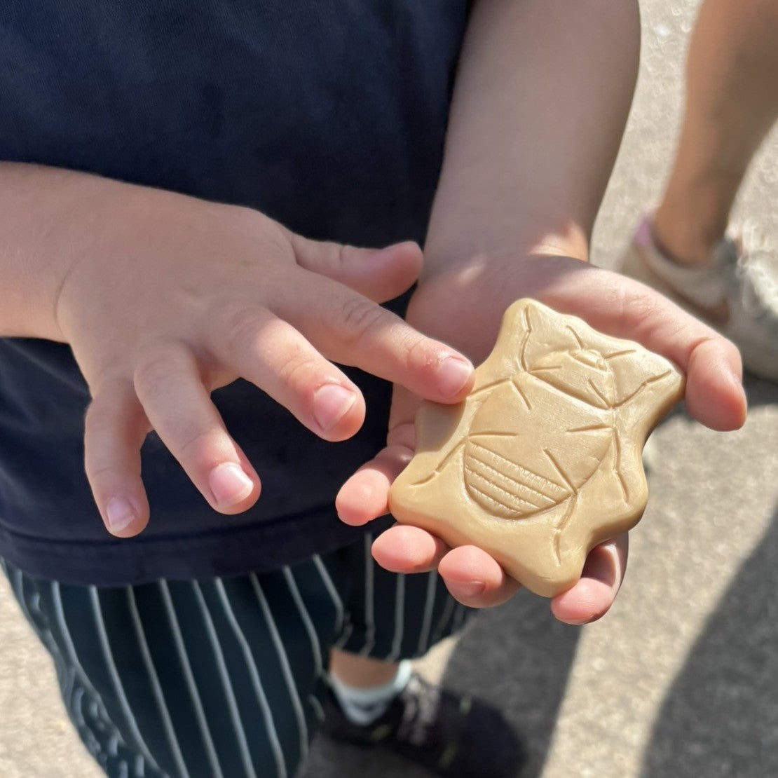 Sensory Play Stones - Bugs