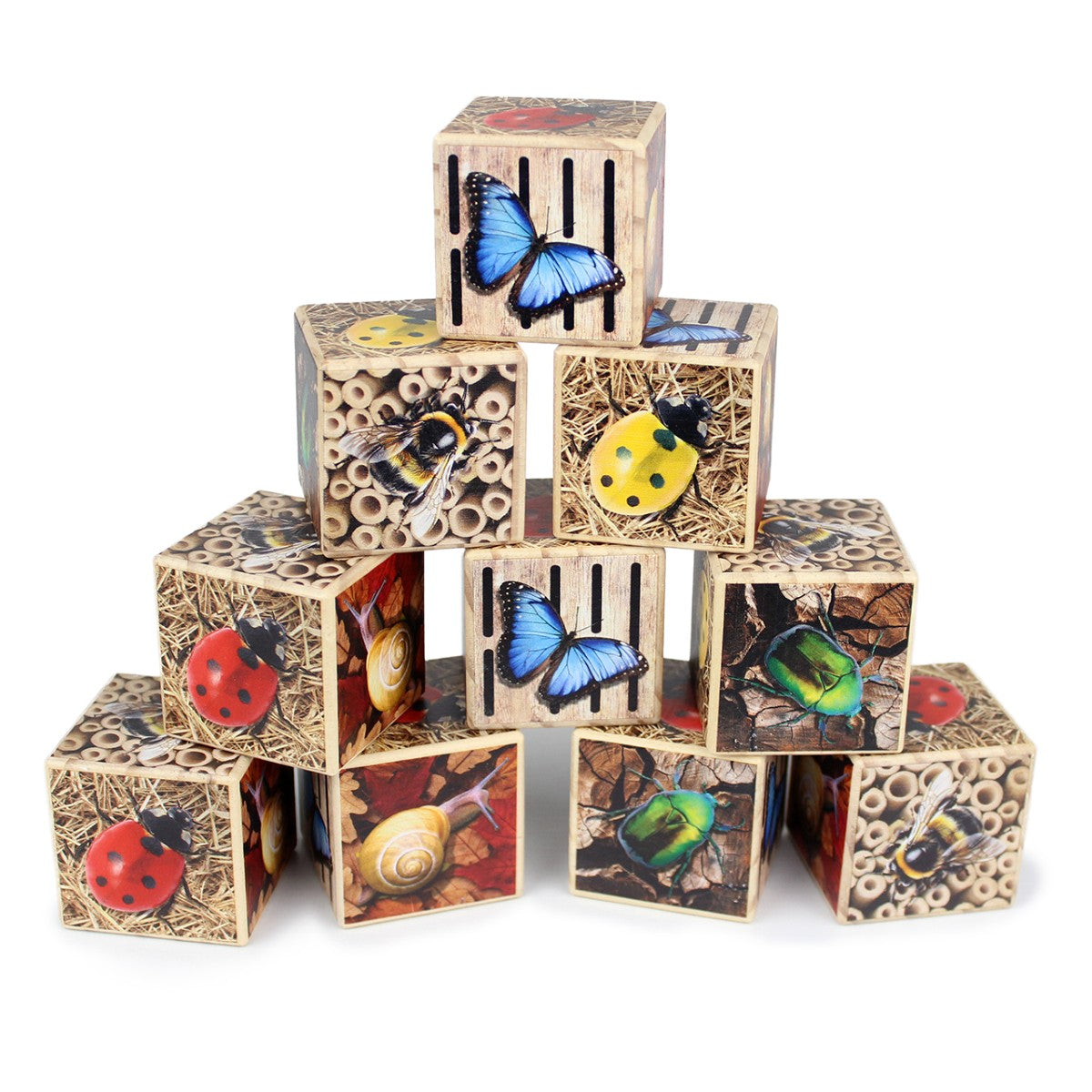 Bug Hotel 10-Frame