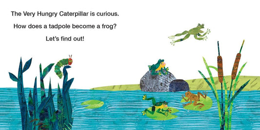 Life Cycles with The Very Hungry Caterpillar