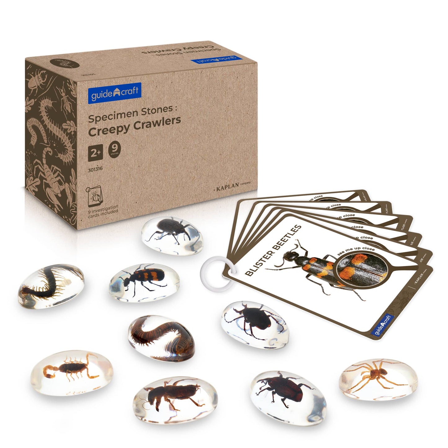 Specimen Stones - Creepy Crawlers