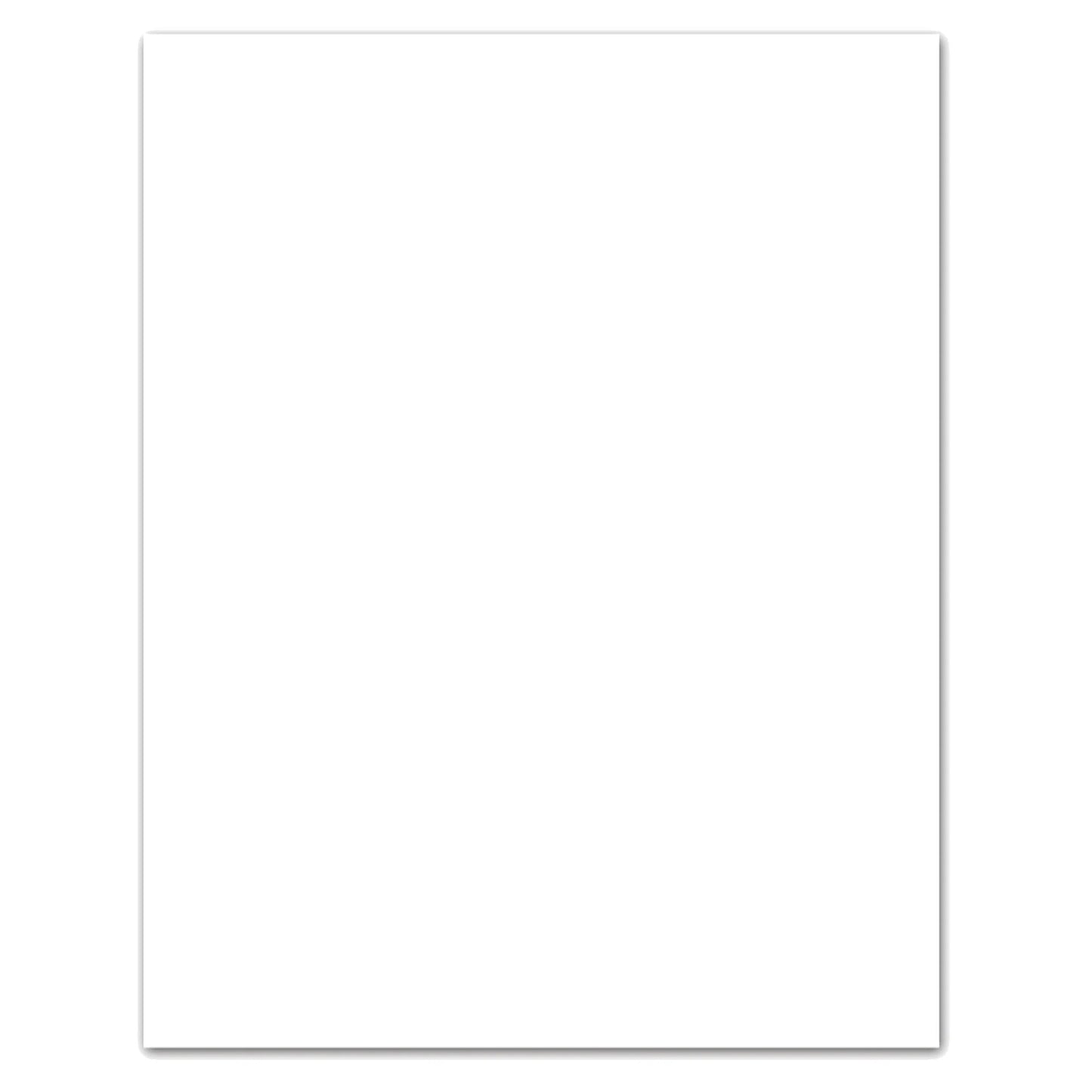 4-Ply Bristol Board- White (22"x 28"- 48 Sheets)