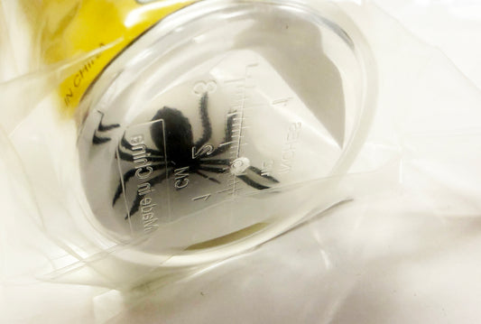 Bug Jar with Vent Holes