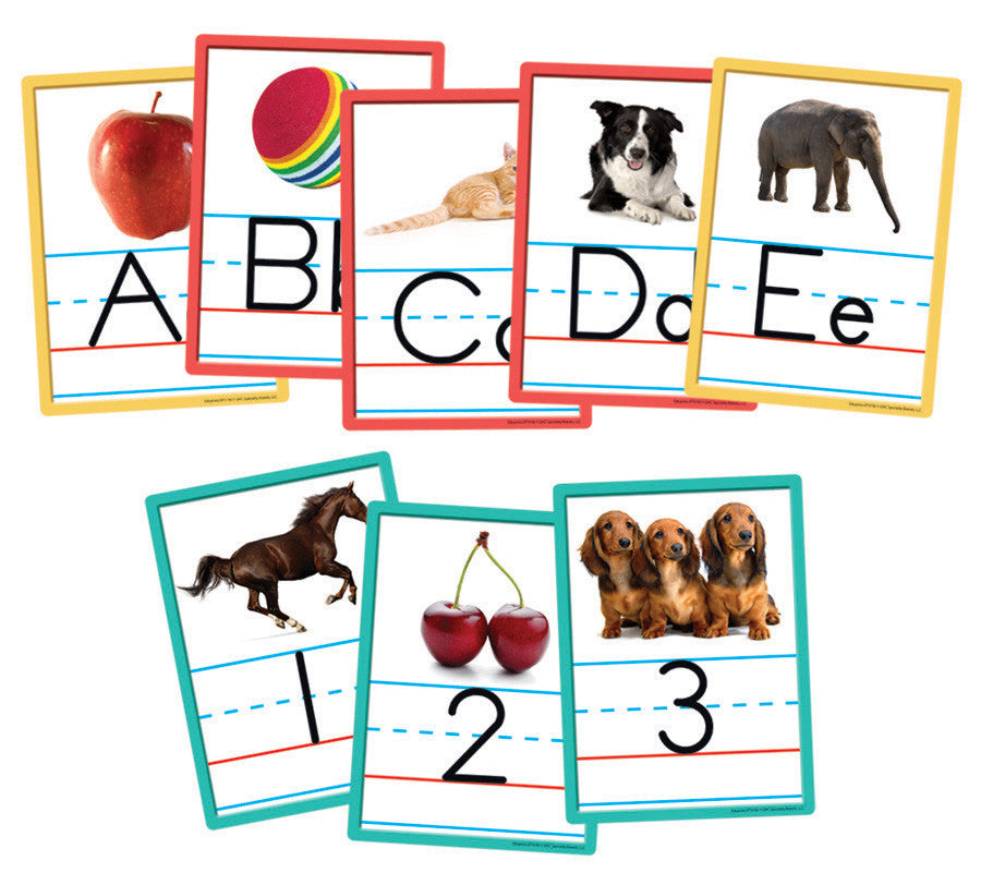 Alphabet & Numbers 0-10 (36 accents)