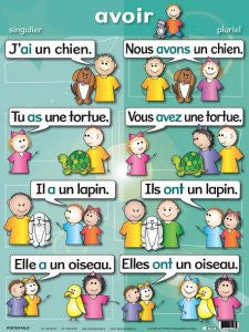 Avoir, singulier / pluriel