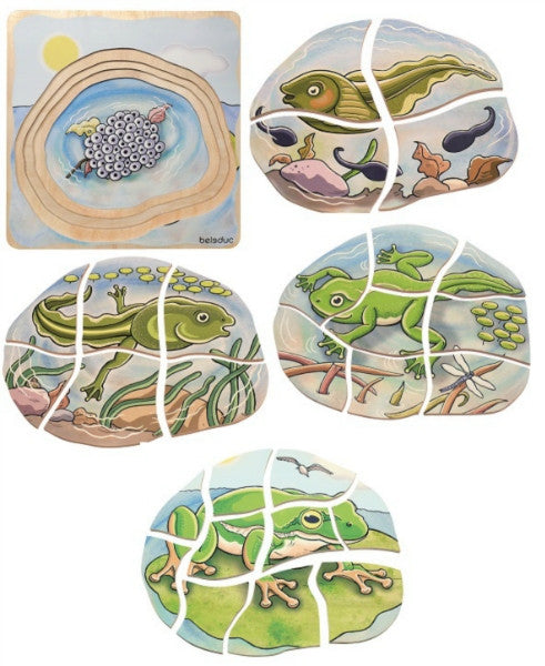 Beleduc 5 Layer Lifecycle Puzzle