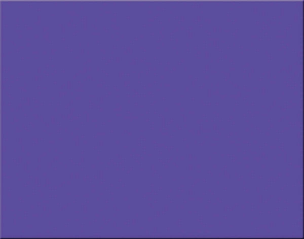 Bristol Board - Purple