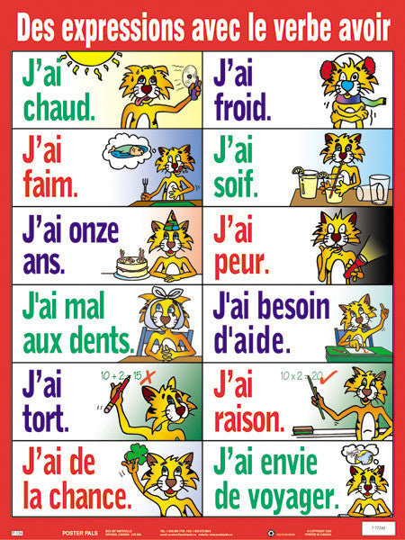 Charts - Des expressions avec le verbe avoi