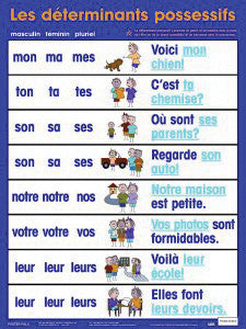 Charts - les adjectifs possessifs