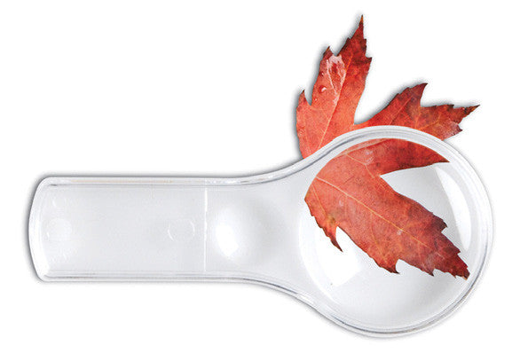 Dual Lens Magnifiers (Set of 10)