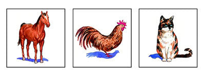 French Flashcards - Les animaux