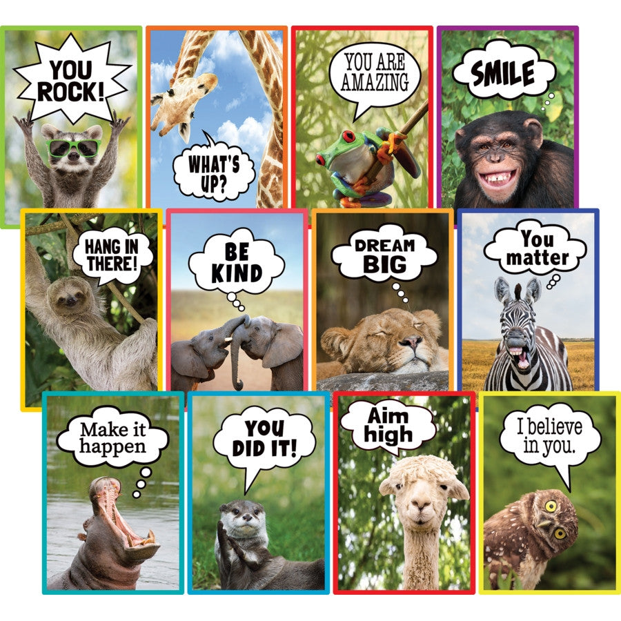 Go Wild Animals Small Poster - Pack Of 12