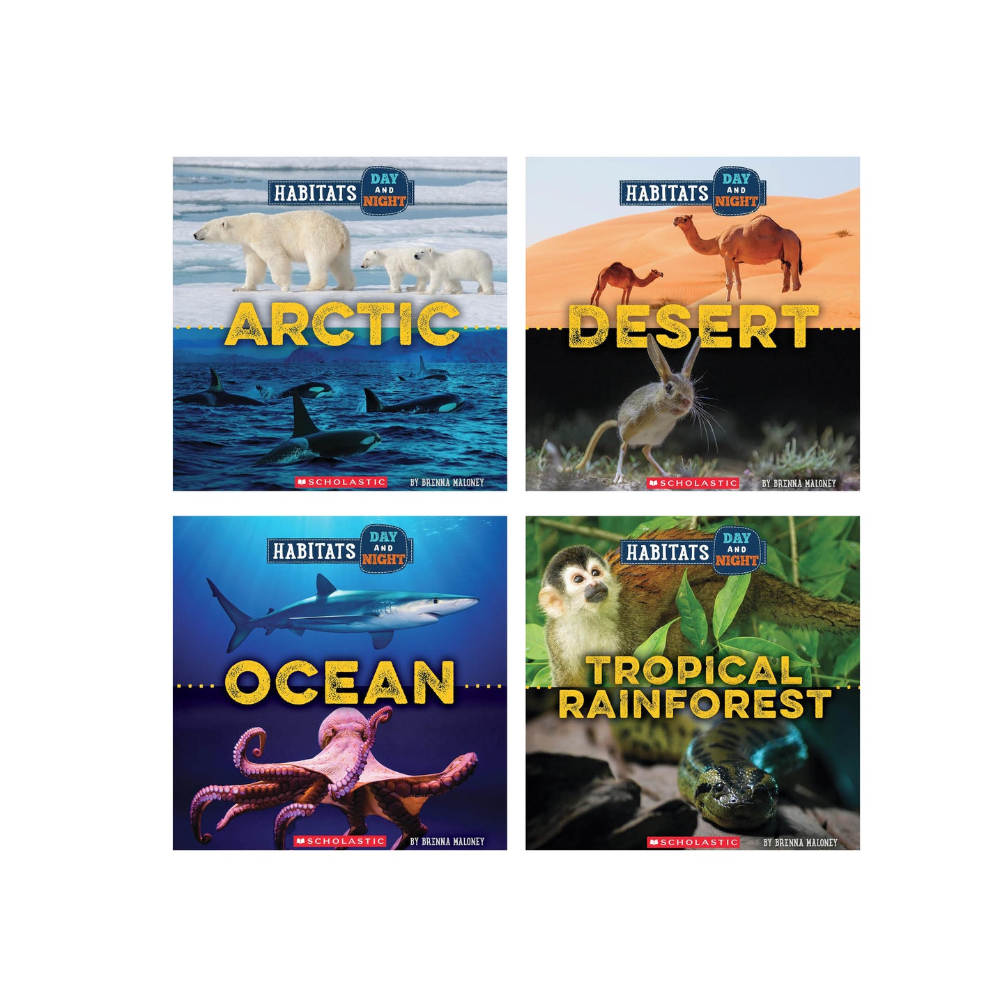 Habitats Day And Night - Set Of 4