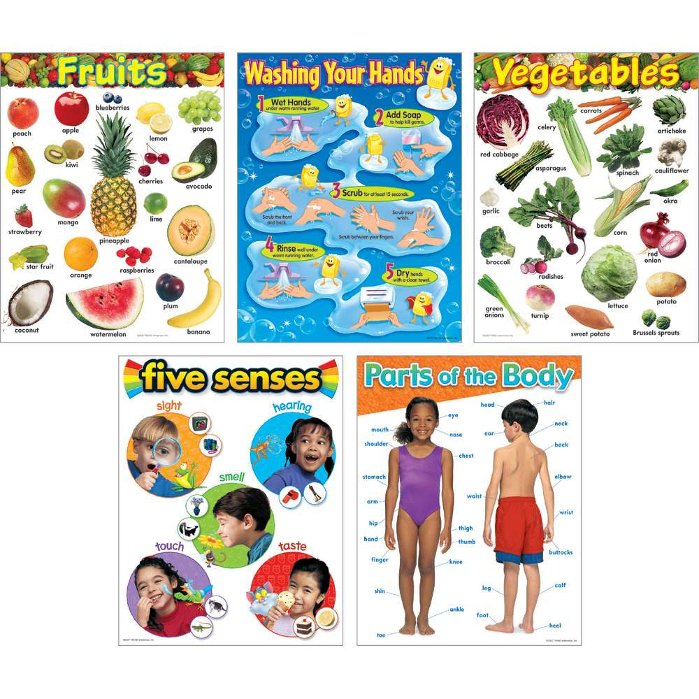 Healthy Living - Learning Charts Combo Pack