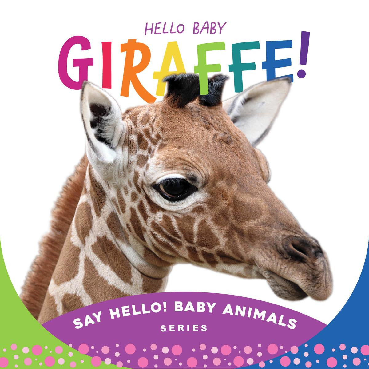 Hello Baby Giraffe!