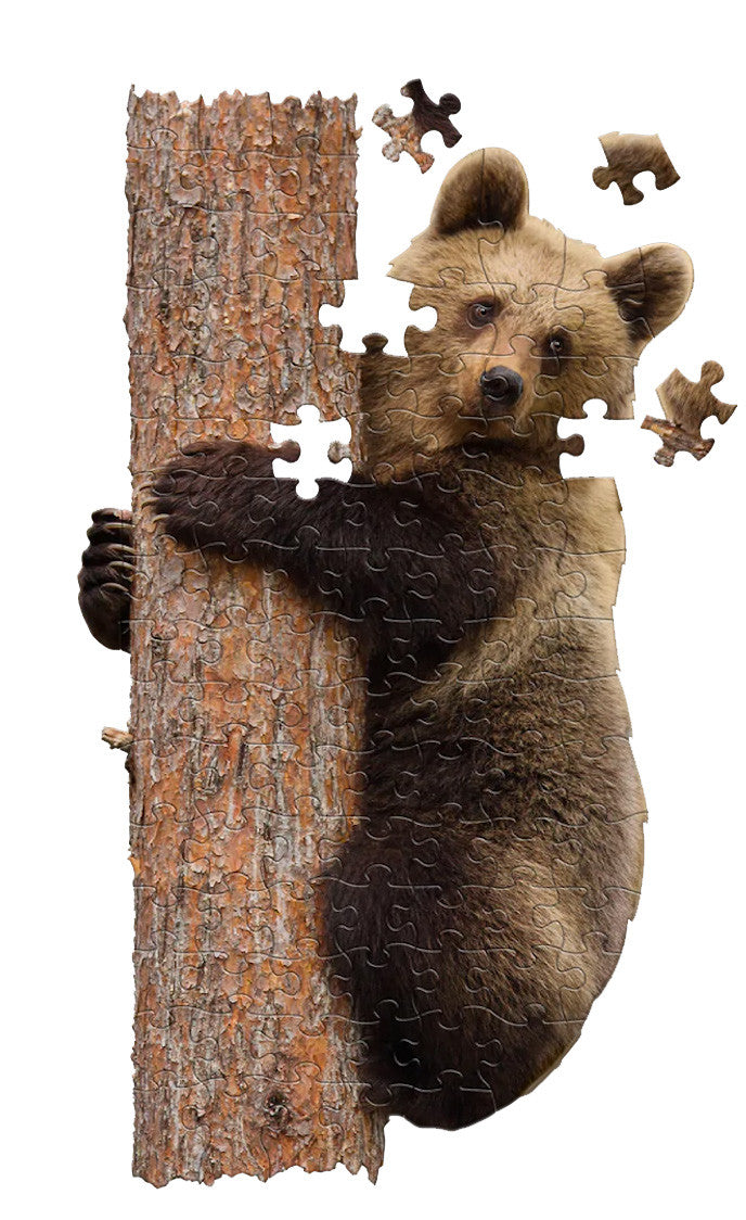 I AM Lil' Bear (100 pieces)