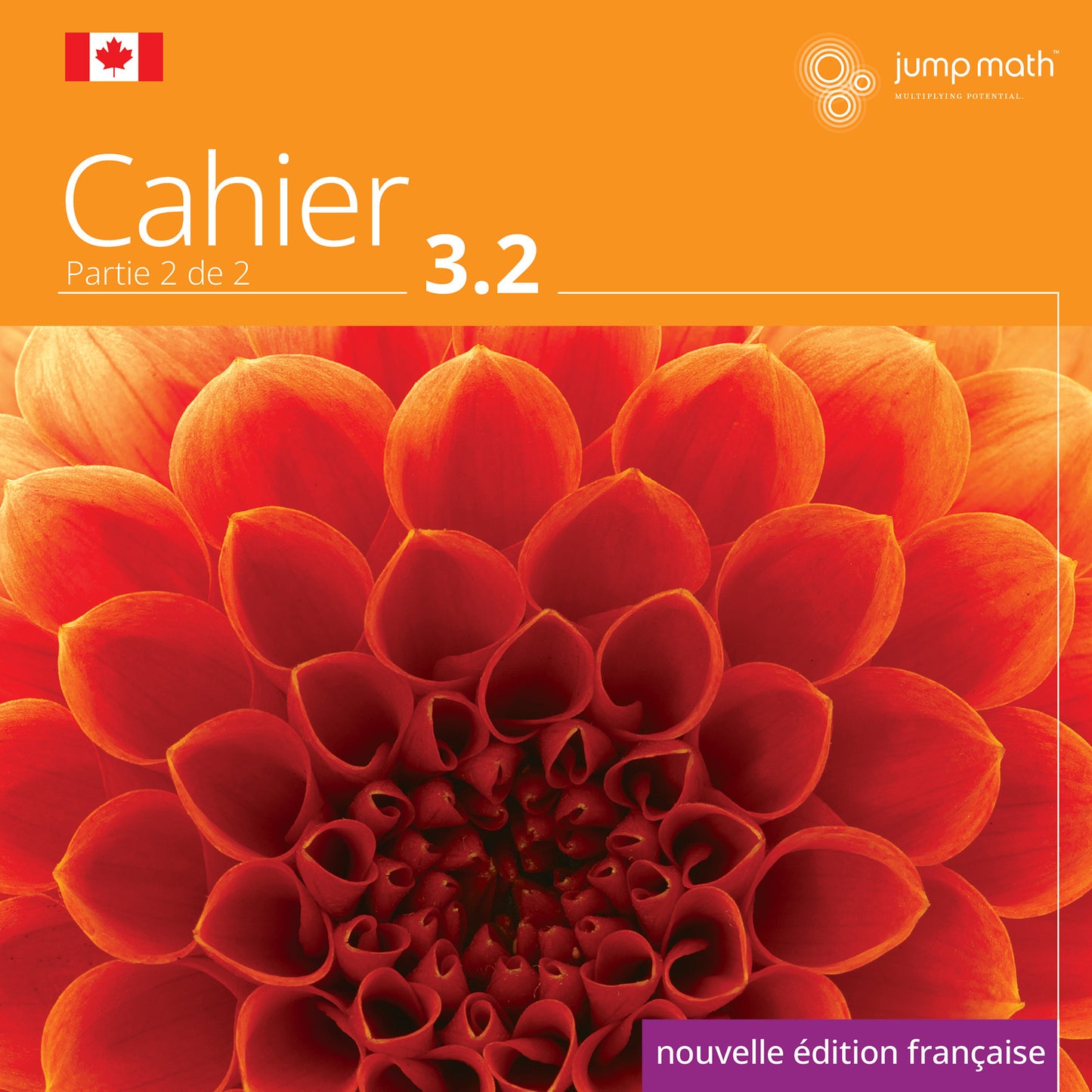 Jump Math Cahier 3.2 Partie 2 De 2