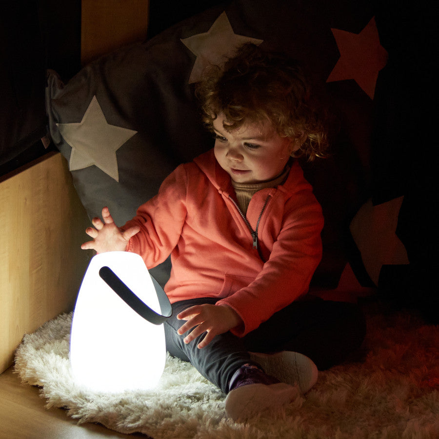 LED Light Up Rechargeable Lanterns- Single