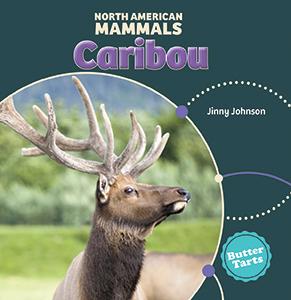North American Mammals: Caribou