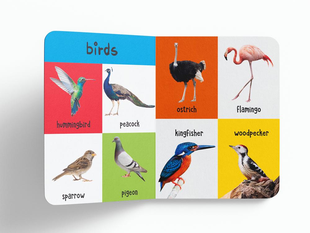 My First 4 In 1: Wild Animals, Pet and Farm Animals, Birds, Sea Animals