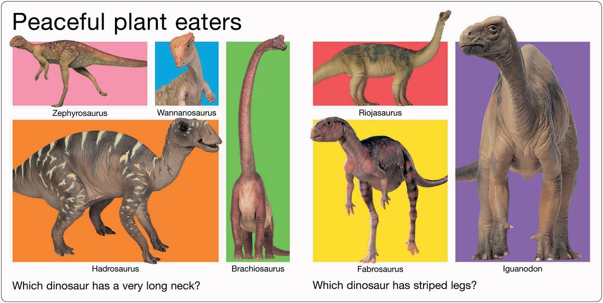 Mon grand livre des dinosaures