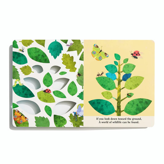 Bugs: A Peek-Through Board Book
