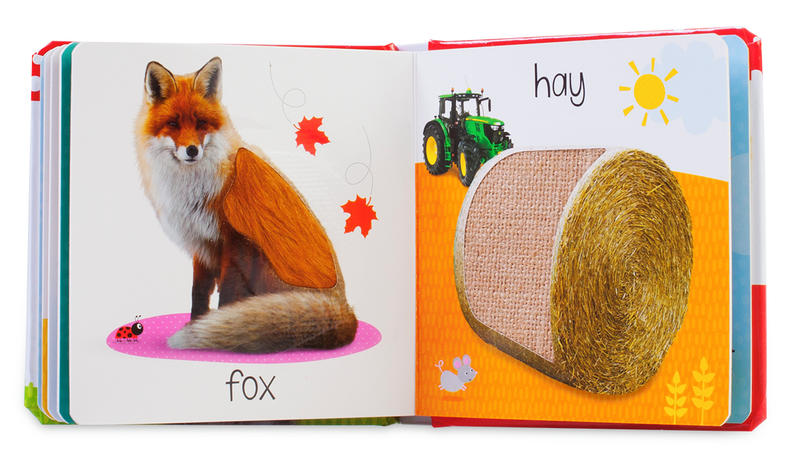 Touch and Feel Fall: Scholastic Early Learners