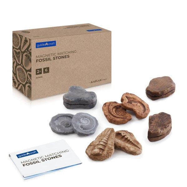 Magnetic Matching Fossil Stones - Set of 6