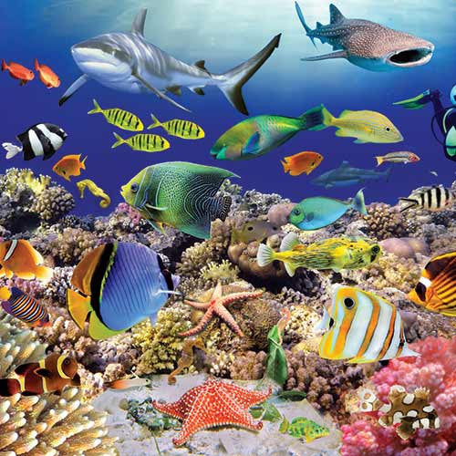 Ocean Discovery Floor Puzzle