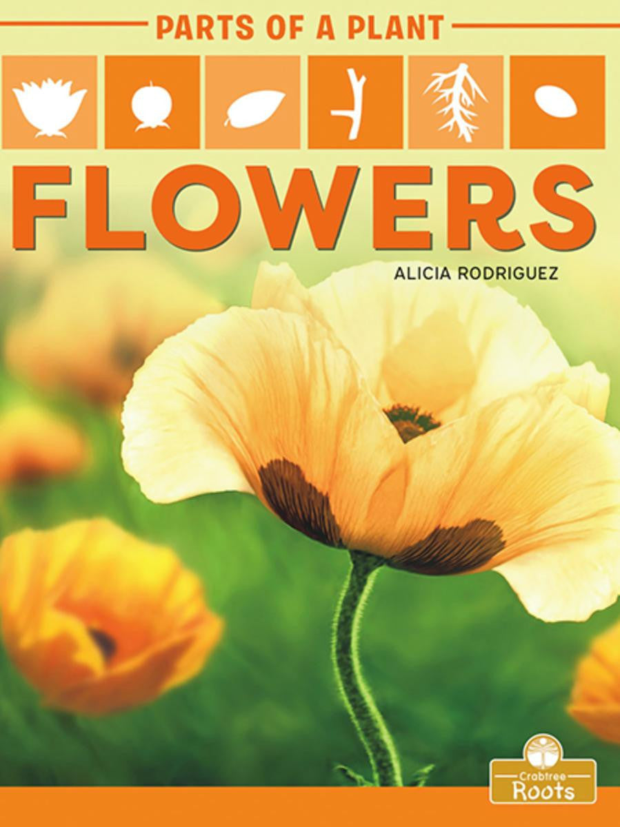 Parts of a Plant: Flowers