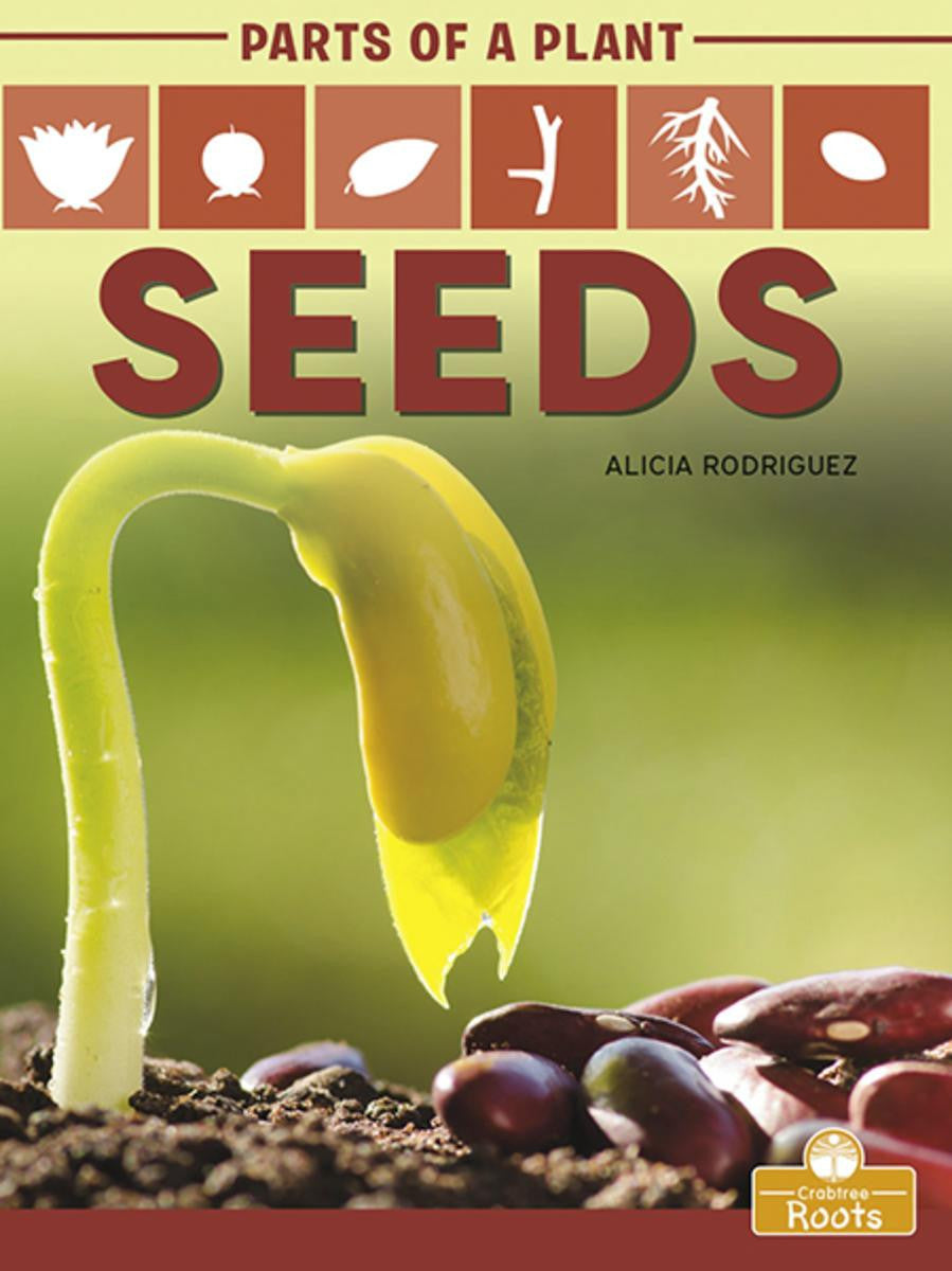 Parts of a Plant: Seeds