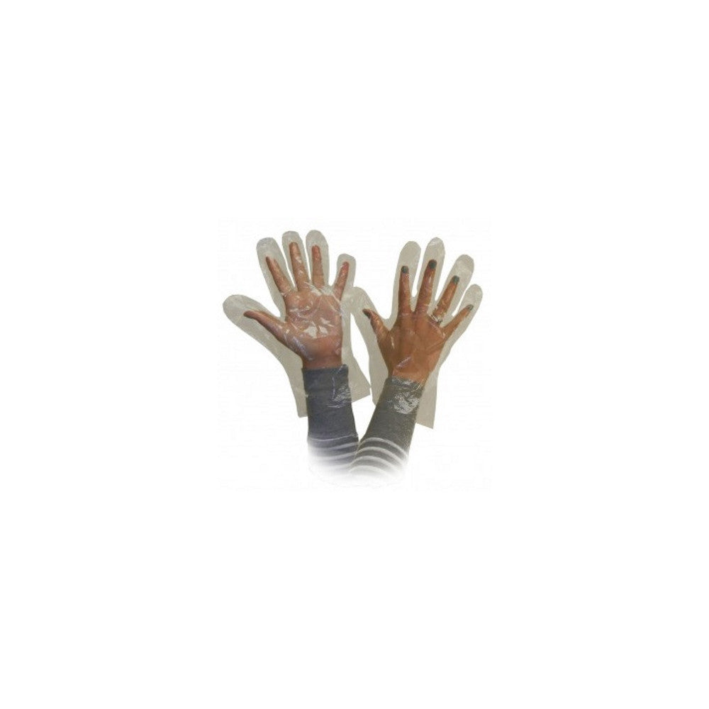 Polydisposable Gloves (500/pk)