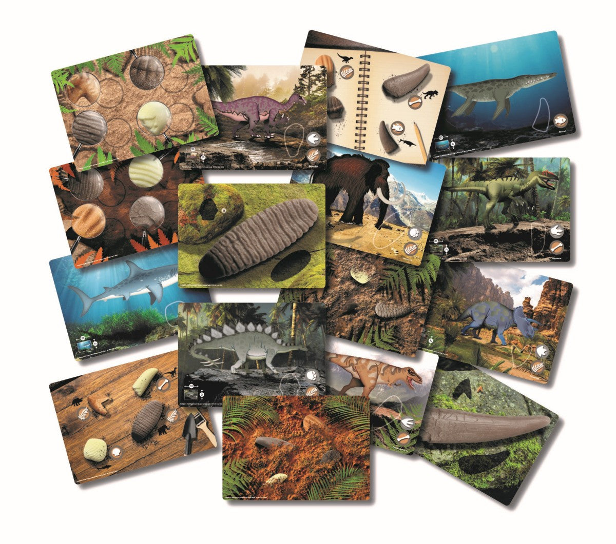 Prehistoric Teeth Activity Cards - 16 Pieces