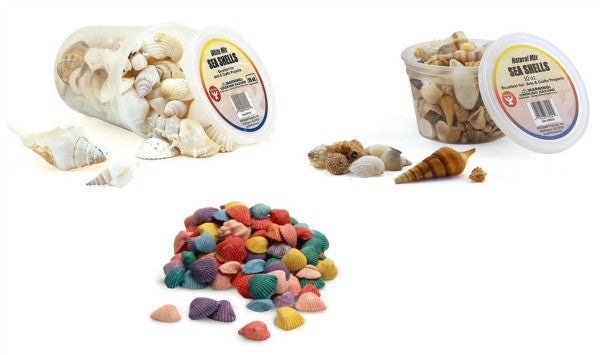 Sea Shells 10 Oz