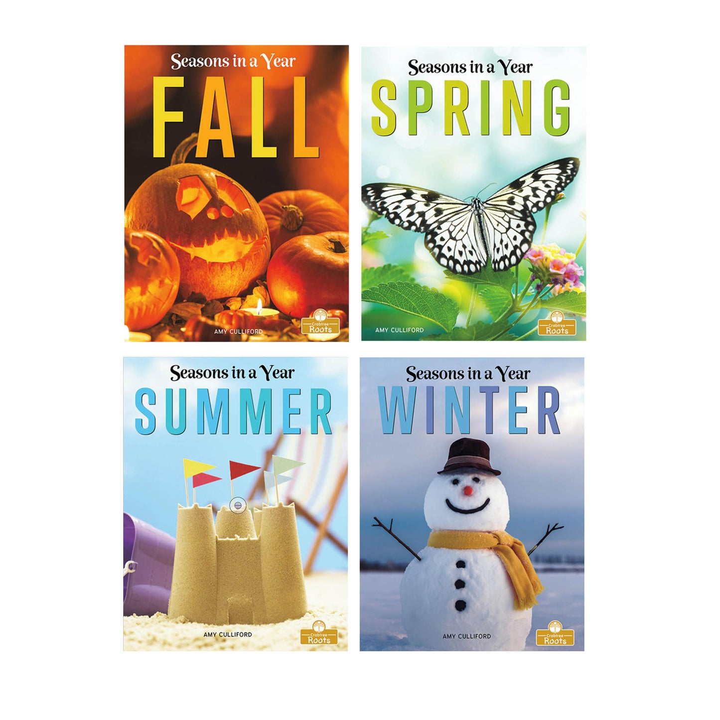 Seasons In A Year - Set Of 4 Books