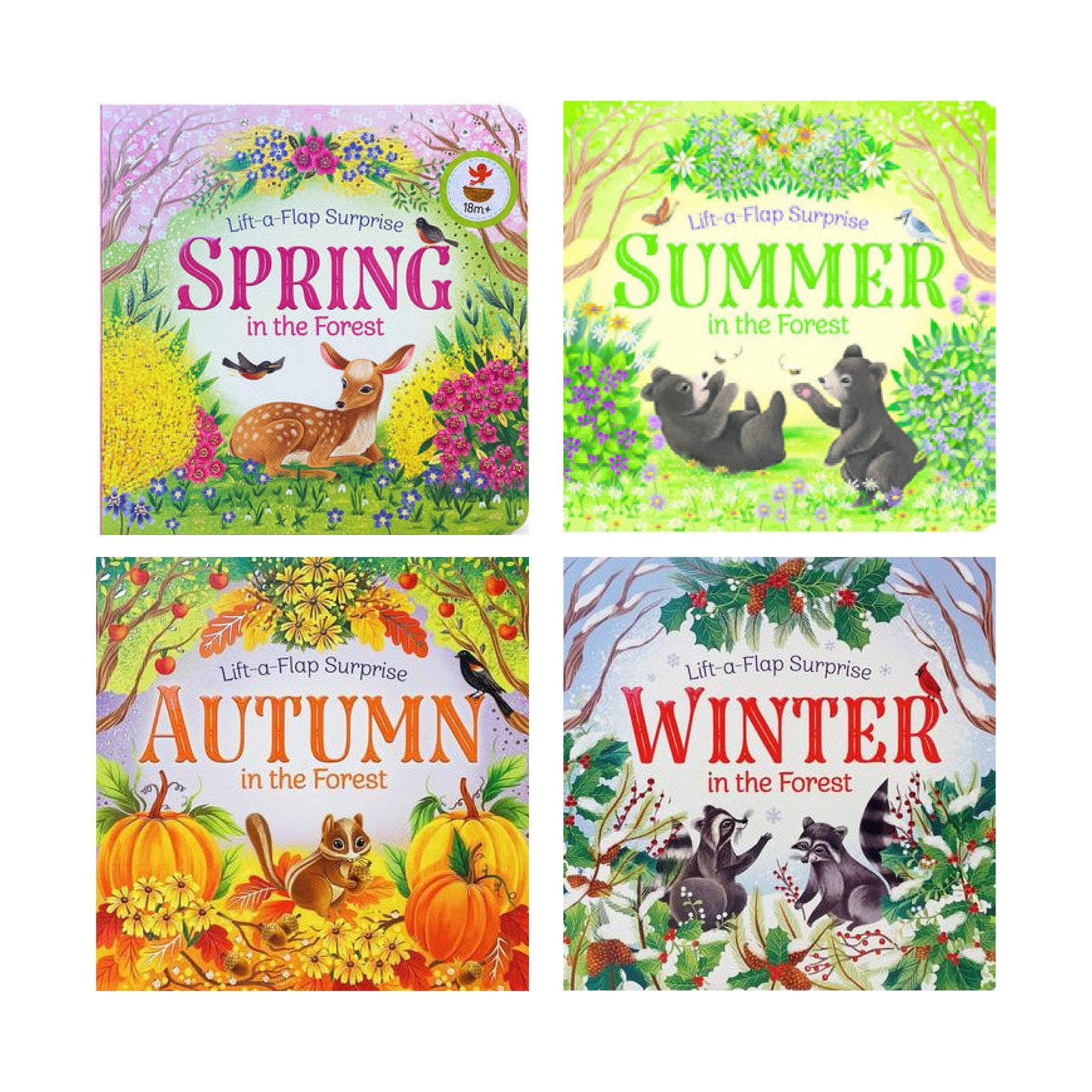 Collection Saisons en forêt - Lot de 4 livres