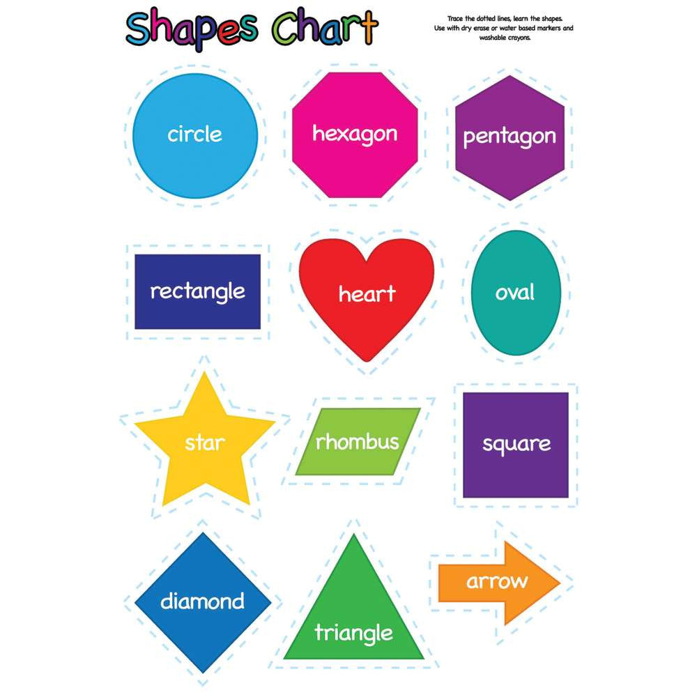 Write On Wipe Off Shapes Polychart