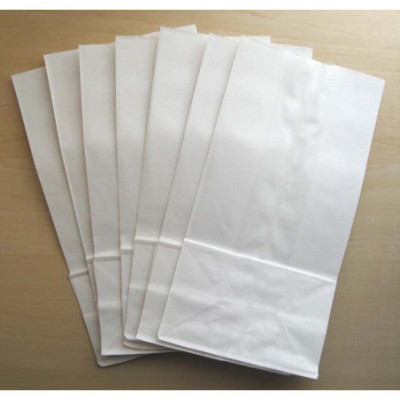 Paper Bags (100/pk)