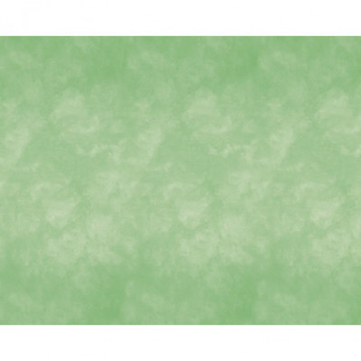 Fadeless Designs- Color Wash Mint