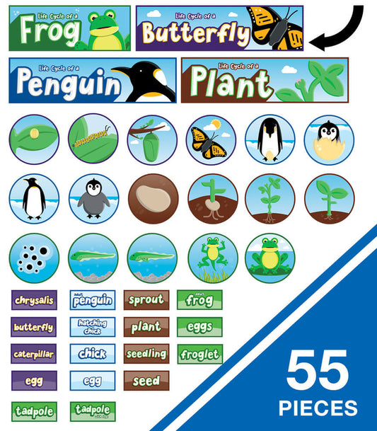 Life Cycles Bulletin Board Set Grade K-3