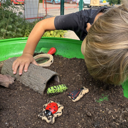 Sensory Play Stones - Bugs