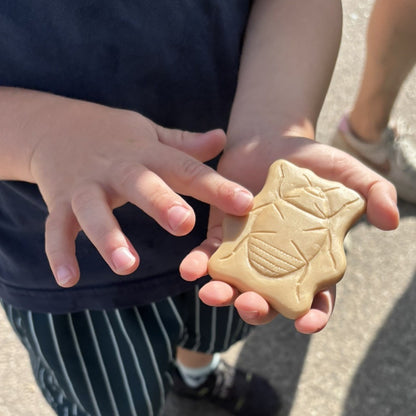 Sensory Play Stones - Bugs