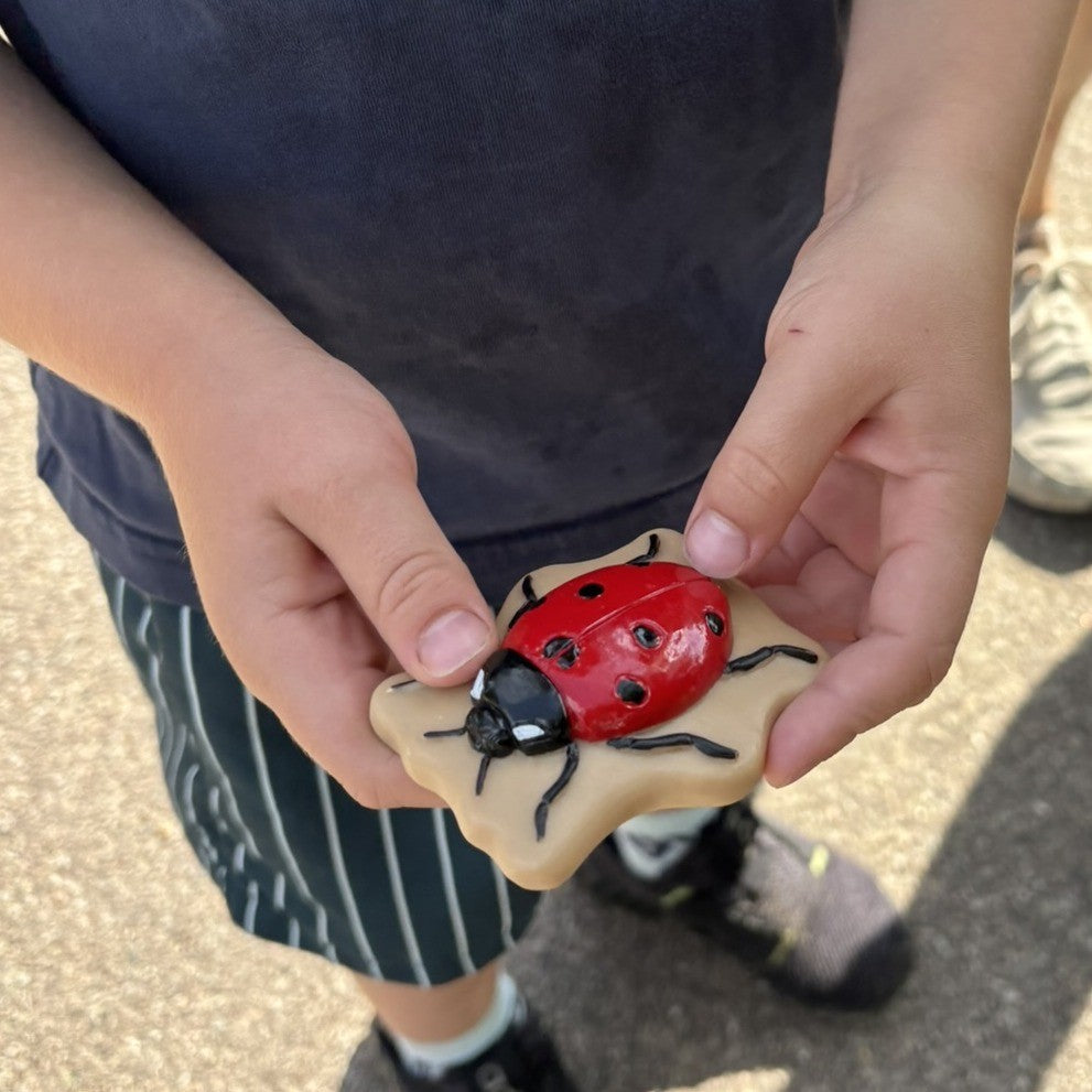 Sensory Play Stones - Bugs