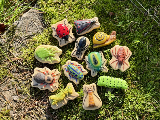 Sensory Play Stones - Bugs