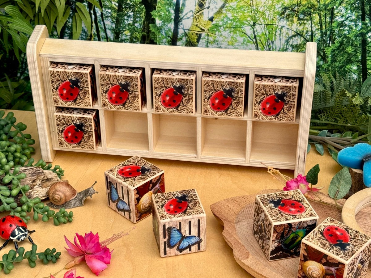 Bug Hotel 10-Frame