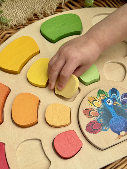 Pattern and Play Peacock