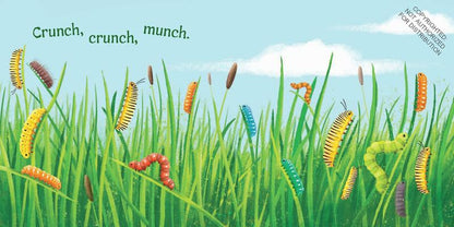 Little Nature Explorers series