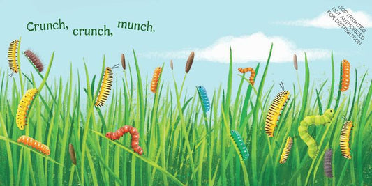 Little Nature Explorers series