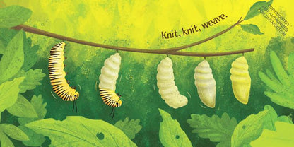 Little Nature Explorers series