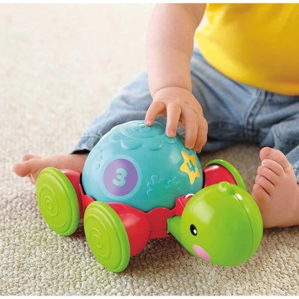 Pull-Along Turtle